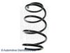 NISSA 54010JG70C Coil Spring